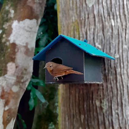 Imagem de Casa para pássaros kit com 10 casinha Plástico recicado