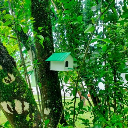 Imagem de Casa para pássaros kit com 10 casinha Plástico recicado