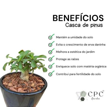 Imagem de Casca de Pinus Para Jardinagem CPC Garden