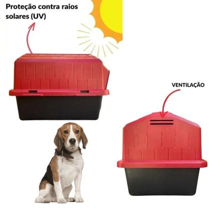 Imagem de Casinha Cachorros Porte Grande N4 Casa Abrigo Cães e Gatos Alvorada