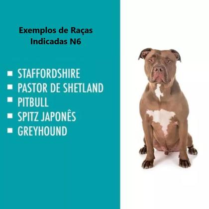 Imagem de Casinha Cachorros Porte Grande N6 Casa Abrigo Cães Vermelho