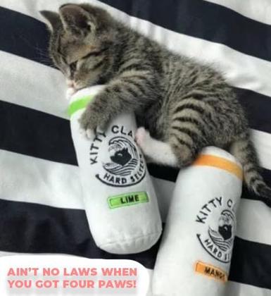 Imagem de Cat Toy Euphoric Kittens Kitty Claw com Catnip de 6 polegadas, pacote com 2