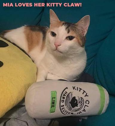 Imagem de Cat Toy Euphoric Kittens Kitty Claw com Catnip de 6 polegadas, pacote com 2