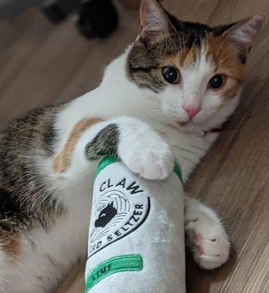 Imagem de Cat Toy Euphoric Kittens Kitty Claw com Catnip de 6 polegadas, pacote com 2