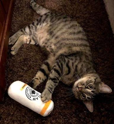 Imagem de Cat Toy Euphoric Kittens Kitty Claw com Catnip de 6 polegadas, pacote com 2