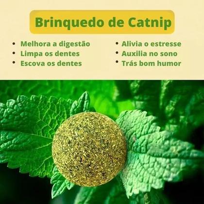 Imagem de Catnip Abacate Brinquedo Interativo para Gato