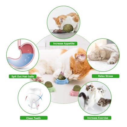 Imagem de Catnip Balls Toy Aucenix para limpeza de dentes que lambem gatos