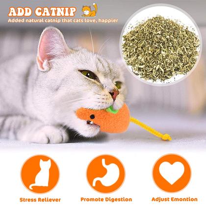 Imagem de Catnip Toy Dorakitten 6 peças de brinquedos de pelúcia para gatos e ratos