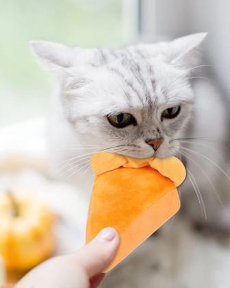 Imagem de Catnip Toys CiyVolyeen Thanksgiving 6 peças para gatos que mastigam dentes