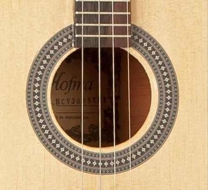 Imagem de Cavaco Elétrico Profissional Eagle Hofma Hcv-30p+capa+brinde