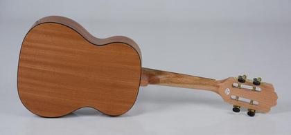 Imagem de Cavaco Strinberg CS25E NS Elétrico