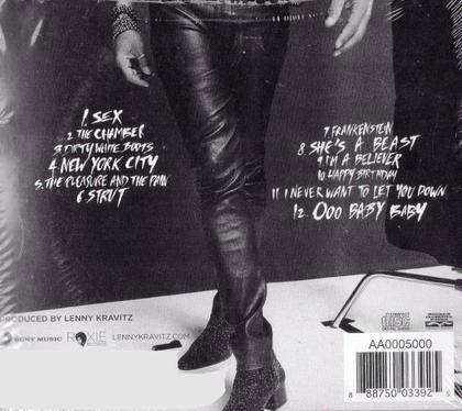 CD Lenny Kravitz Strut Original - Sony Music - Livros de Arte e