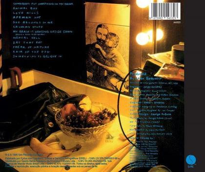 Imagem de Cd Ramones - Animal Boy