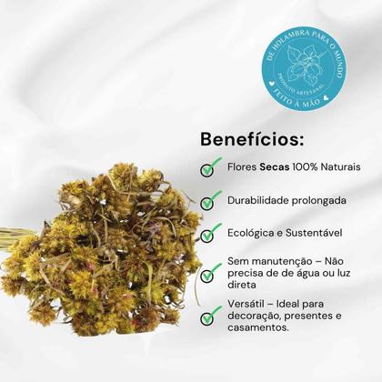 Imagem de Ceboão Amarelo Flor Desidratada Buque Flores Secas