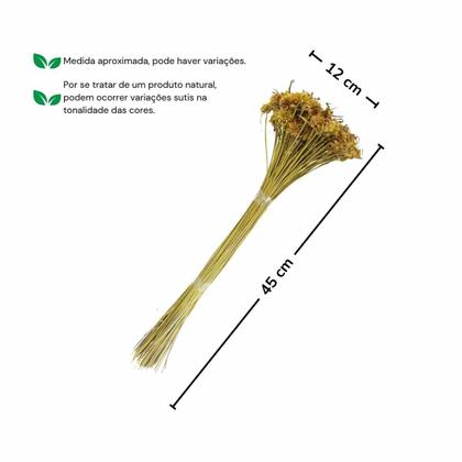 Imagem de Ceboão Amarelo Flor Desidratada Buque Flores Secas