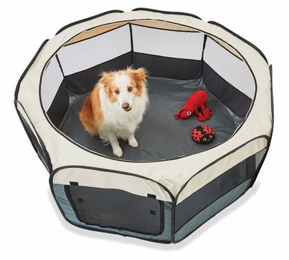 Imagem de Cercado Extra Grande Cão Gato Pet Portátil Cinza + Escova
