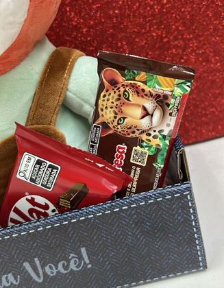 Imagem de Cesta Presente Dia das Crianças Pelúcia Chocolates e Doces