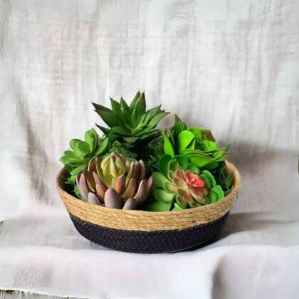 Imagem de Cesto Multiuso De Fibra Natural 30x9cm