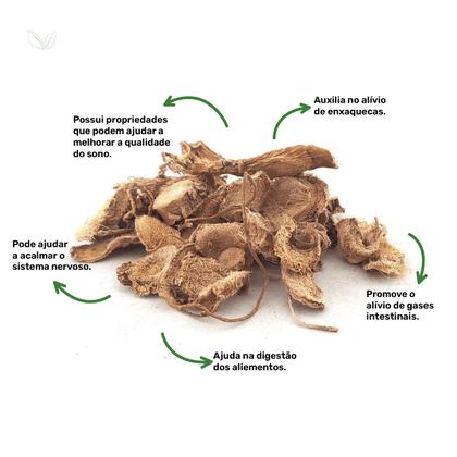 Imagem de Chá de Angélica - Angelica sylvestris L. - 100g