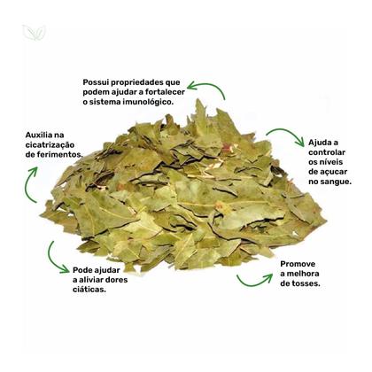 Imagem de Chá de Eucalipto - Eucalyptus Citriodora - 100g