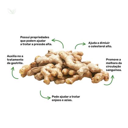 Imagem de Chá de Gengibre - Zingiber officinalis Roscoe - 100g