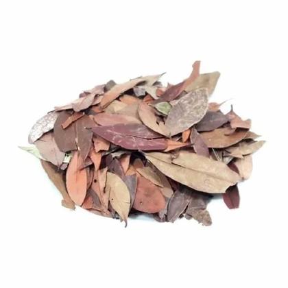 Imagem de Chá De Pedra Ume Caá - Myrcia Sphaerocarpa D.C. - 100G