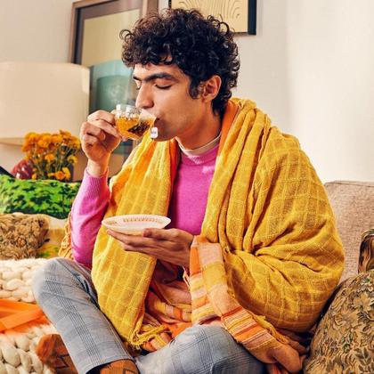 Imagem de Chá Leão Hibisco Rosa Silvestre E Amora Premium 10 Saquinhos