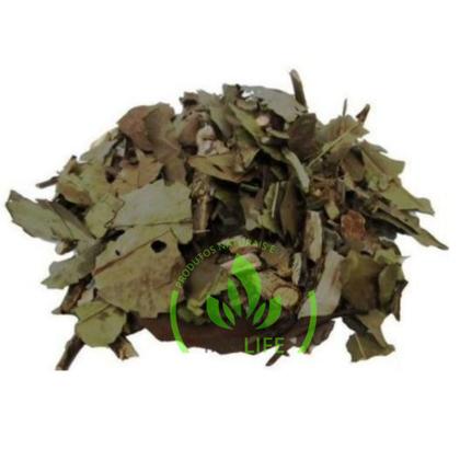 Imagem de Chá Verde - Banchá 1kg (Erva Desidratada)