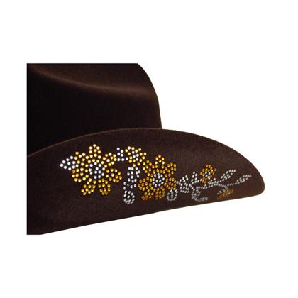 Imagem de chapéu country Infantil fashion moda Brilho Americano