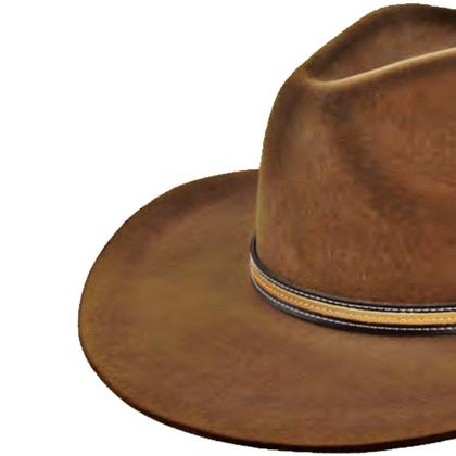 Imagem de Chapéu Gusttavo Lima Varias Cores Estilo Embaixador Country