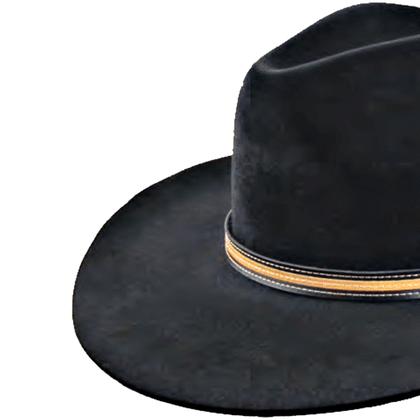 Imagem de Chapéu Gusttavo Lima Varias Cores Estilo Embaixador Country