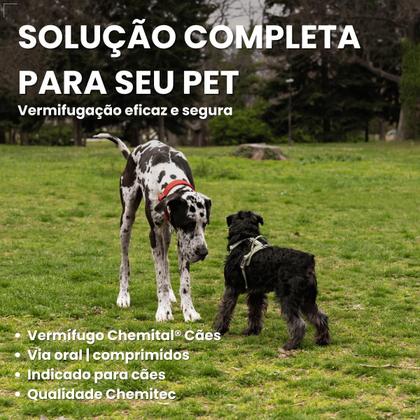 Imagem de Chemital Vermífugo para cães 4 comprimidos