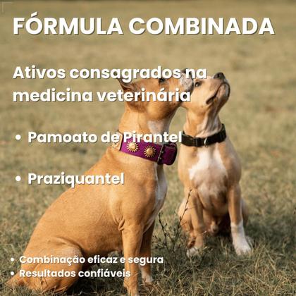 Imagem de Chemital Vermífugo para cães 4 comprimidos