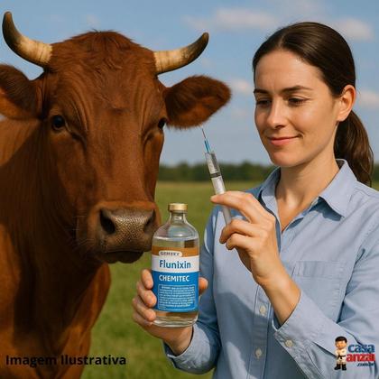 Imagem de Chemitec flunixin injetável 100ml