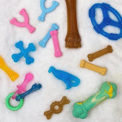 Imagem de Chew Toy Nylabone Puppy Twin Pack Teething G-Small/Petite