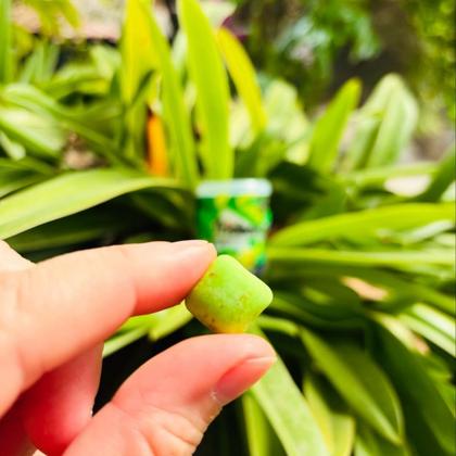 Imagem de Chiclete Trident Pote X Gamers Citrus Mix Zero Açúcar - 6 Unidades 48,3g