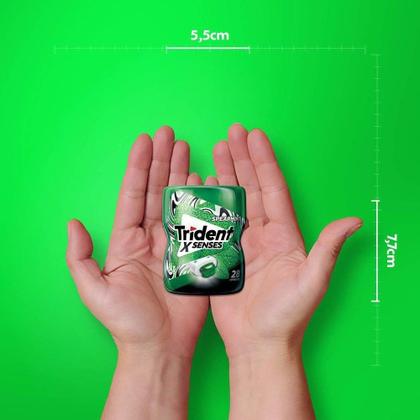 Imagem de Chiclete Trident XSenses Spearmint sem açúcar Menta Garrafa - Caixa com 6 Unidades