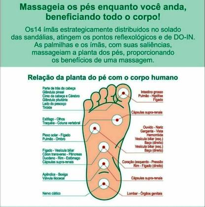 Imagem de Chinelo Dedo Baixo Fino Magnético Kelly Onça 34 Par - Terumi