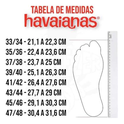 Imagem de Chinelo Havaianas Dual Tira Larga Masculino