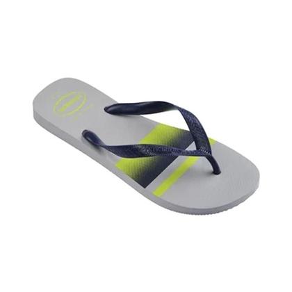 Imagem de Chinelo Havaianas Masculino Top Basic Cinza Gelo