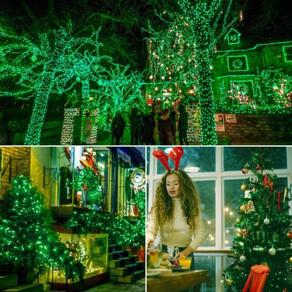 Imagem de Christmas String Lights woohaha, pacote com 2, 50 verdes, mini 4 m