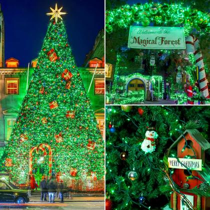 Imagem de Christmas String Lights woohaha, pacote com 2, 50 verdes, mini 4 m