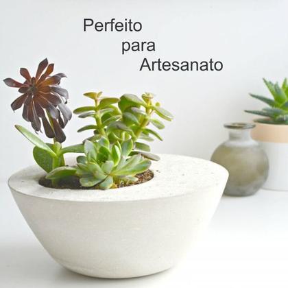 Imagem de Cimento Branco para Reparo e Acabamento 1Kg Sampaflex