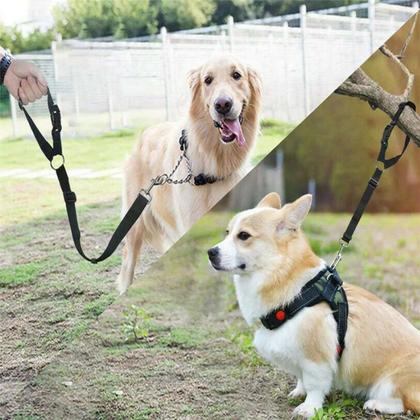 Imagem de Cinto De Segurança Carro Viagem Pet Cachorro Porte Grande