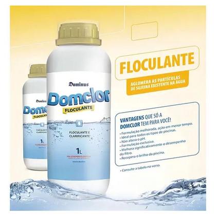 Imagem de Clarificante domclor floculante e clarificante 5lt