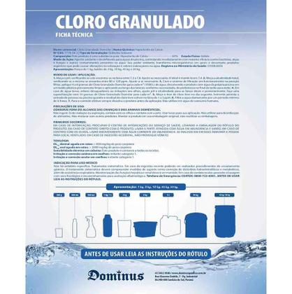 Imagem de Cloro De Piscina Granulado Hipoclorito de Cálcio 1kg Domclor