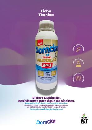 Imagem de Cloro Multiação 3 em 1 Domclor 1KG Para Piscinas