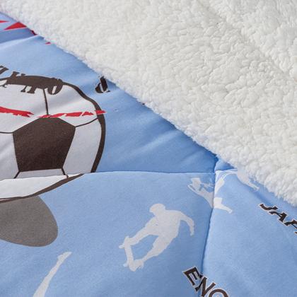Imagem de Coberdrom Edredom Solteiro Winter Dupla Face Tecido Algodão Sherpa Pele de Carneiro 01 Pç