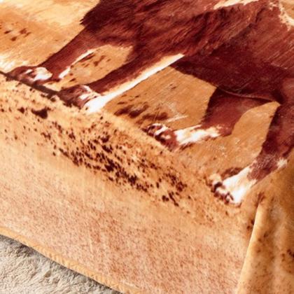 Imagem de Cobertor Casal Raschel Plus Jolitex Microfibra 1,80 x 2,20m