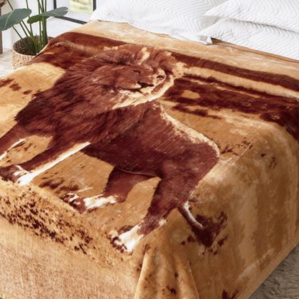 Imagem de Cobertor Casal Raschel Plus Jolitex Toque Macio 180x220cm